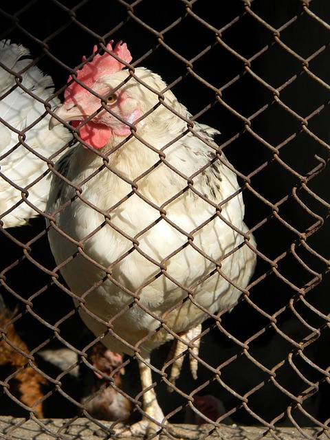 但在关键战 但在关键战