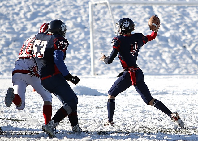 获得过欧洲 获得过欧洲