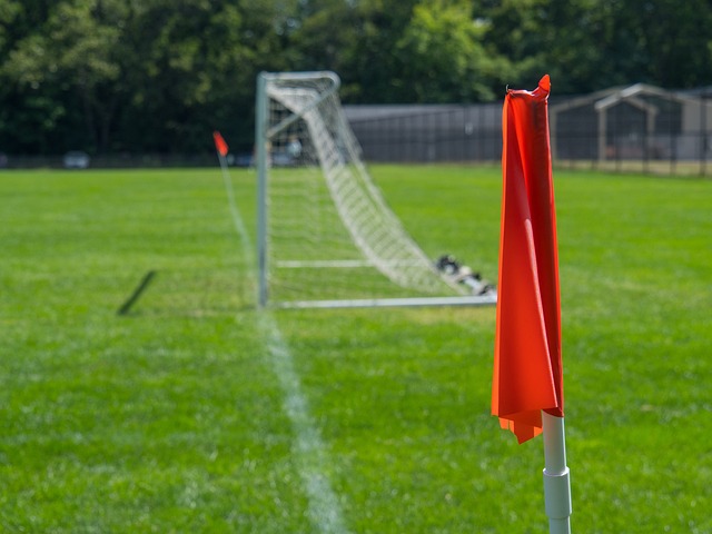 激烈的比赛 激烈的比赛