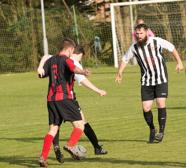 代化的场馆 代化的场馆