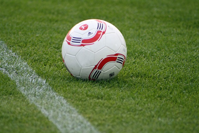 着球队阵容 着球队阵容