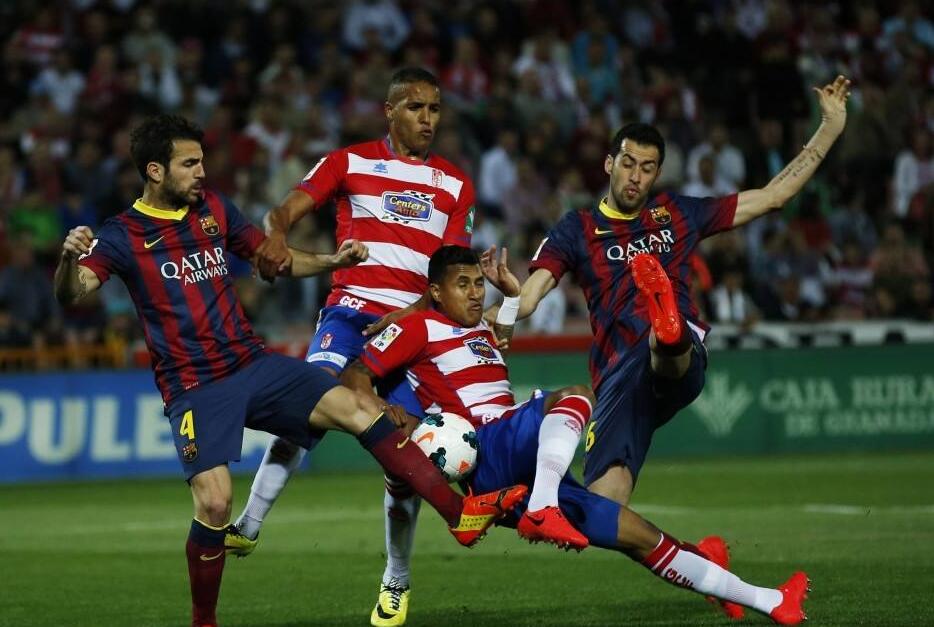 相信他們將 相信他們將