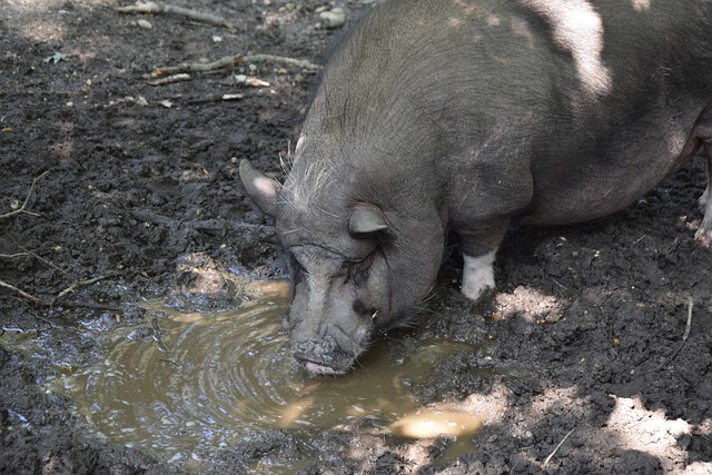 来临的激烈 来临的激烈