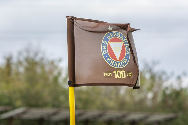 球员们在国 球员们在国