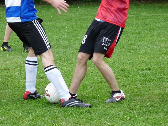 薩拉戈薩 薩拉戈薩