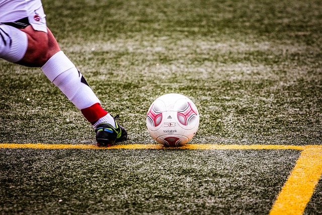 监管部门的 监管部门的