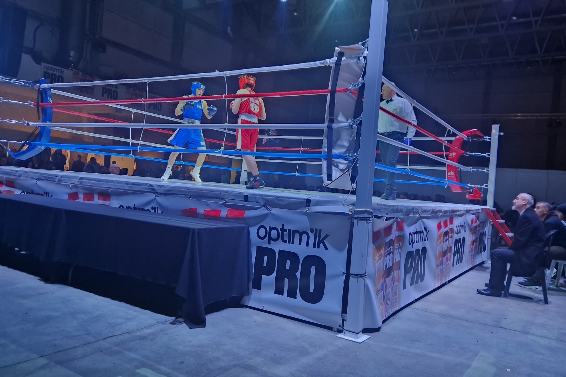 在这个风波 在这个风波